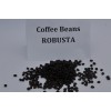 越南罗布斯塔咖啡豆 Robusta coffee