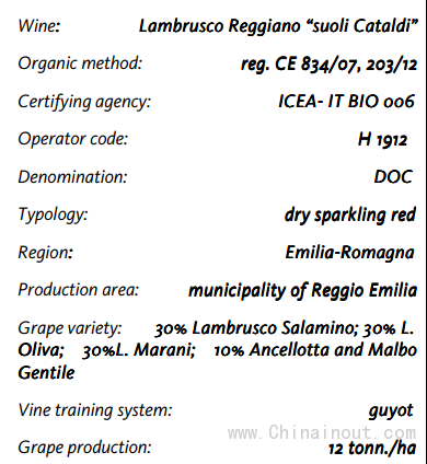 Lambrusco Reggiano “suoli Cataldi”1