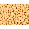 埃塞俄比亚黄豆 非转基因大豆 Soybeans