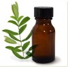 茶树精油Tea Tree Essential Oil