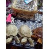 印度尼西亚木质乌龟工艺品 Wooden Turtle