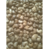 原产冈比亚生腰果 raw cashew nut