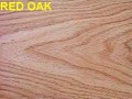 橡木木材 oak timber (12)