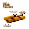 斯里兰卡肉桂 Ceylon Cinnamon