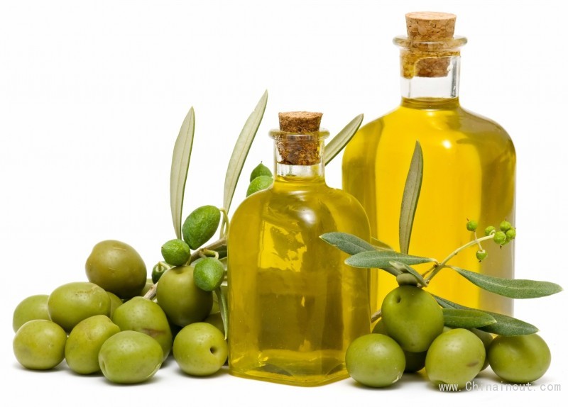 oil olive dina trade