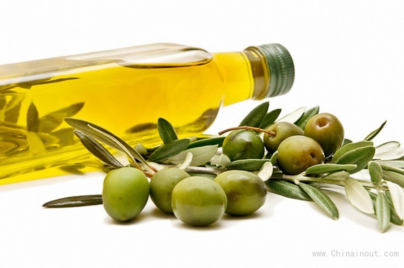oil olive dina trade (2)