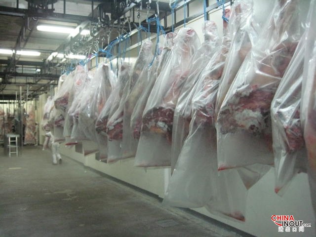 meat beef carcass photo 1 packed hanged