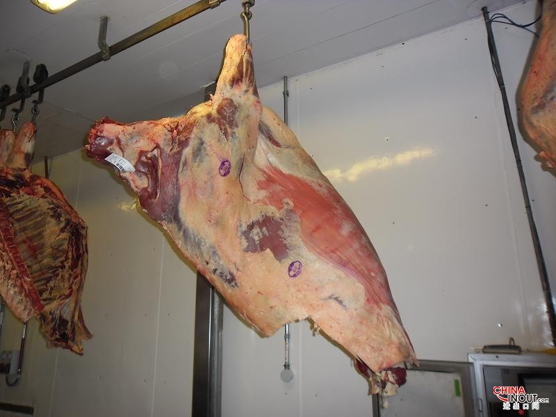 meat beef carcass photo 13