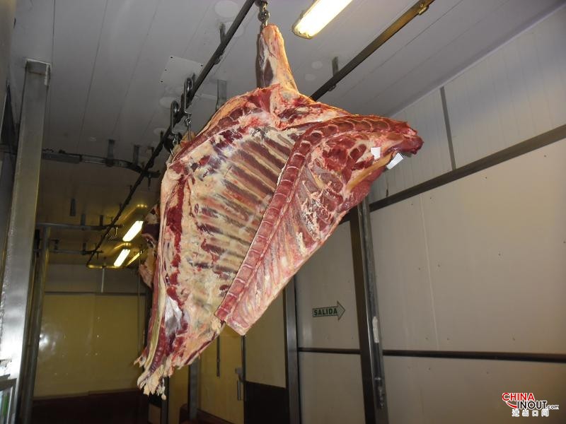 meat beef carcass photo 14