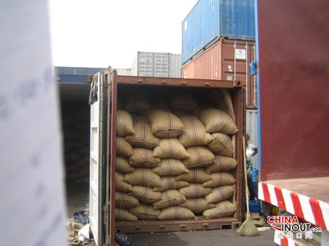 cashew nut loading containers