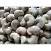 原产地科特迪瓦高品质腰果供应 Raw Cashew Nuts
