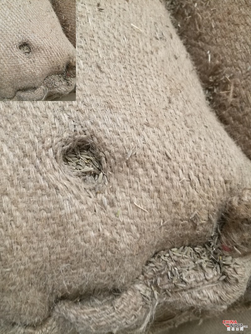 孜然仓库1