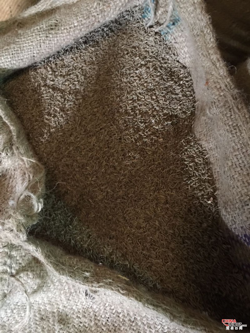 cumin 3