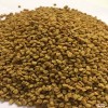 印度进口葫芦巴籽  Fenugreek Seed