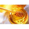 俄罗斯进口蜂蜜中国推广 honey