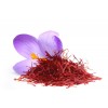 伊朗藏红花业务中国推广服务 Saffron