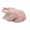 巴西进口冷冻鸡肉鸡爪厂家供应 Brazil origin Frozen Chicken