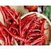 印度进口S17去把辣椒供应 S17 Chilli