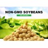 印度进口非转基因大豆供应 soya