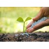 加拿大进口矿物肥料/化肥厂家直供 Fertilizers/Mineral Fertilizers