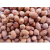 塞内加尔进口花生厂家直供 Peanuts