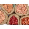 印度进口优质花生厂家批发供应 Peanuts