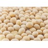 巴西非转基因大豆厂家批发供应 soya&soybeans