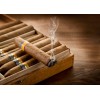 德国进口雪茄烟厂家直供 Cigars