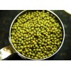 埃塞俄比亚进口绿豆产地厂家直供 Mung Beans