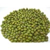 丹麦进口绿豆产地厂家直供 Mung Beans