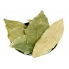 印度进口香叶醇原料香叶月桂叶供应  bay leaf