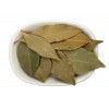印度进口香叶月桂叶供应  bay leaf