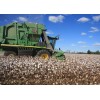 巴西进口采棉机厂家直供 Cotton Picker