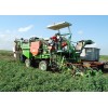 法国进口西红柿采收机收割机厂家直供 harvester