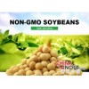 巴西进口优质非转基因大豆供应中国市场 Soybeans