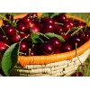 黎巴嫩进口新鲜车厘子供应 Fresh Cherries