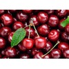 阿根廷进口新鲜车厘子供应 Fresh Cherries