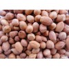 埃塞俄比亚进口花生供应商 Peanuts