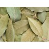 格鲁吉亚进口香叶供应中国市场 bay leaf