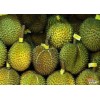 马来西亚进口榴莲/榴莲肉一手货源 Durian