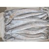 印度进口冷冻带鱼货源 Ribbonfish