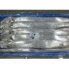 印度尼西亚进口冷冻带鱼货源 Ribbonfish