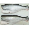 越南巴沙鱼价格 Pangasius
