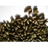 印度进口决明子厂家价格 Cassia Tora Seeds