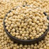 巴西大豆供应平台 soybeans