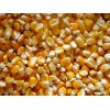 乌克兰玉米期货供应 Corn