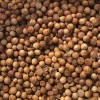 印度香菜籽厂家 Coriander Seeds