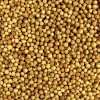 印度进口香菜籽期货厂家 Coriander Seeds