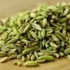 印度小茴香籽供应 Fennel Seeds