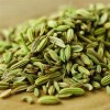 印度小茴香籽供應(yīng) Fennel Seeds